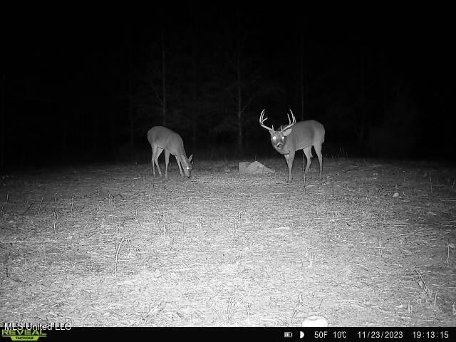 Bennett Road Clarksdale, MS 38614 - Photo 25 of 34 IMG_2945