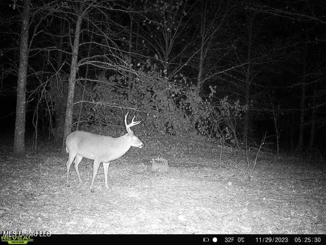 Bennett Road Clarksdale, MS 38614 - Photo 26 of 34 IMG_2982
