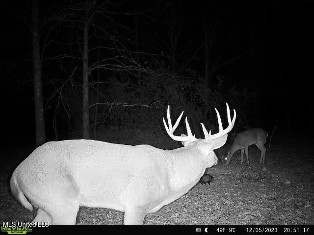 $449,450 | Bennett Road, Clarksdale, MS 38614