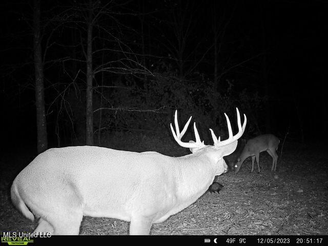 Bennett Road Clarksdale, MS 38614 - Photo 27 of 34 IMG_3063