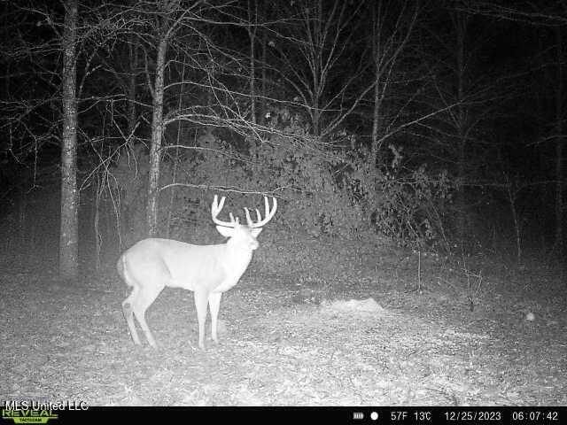 Bennett Road Clarksdale, MS 38614 - Photo 30 of 34 IMG_3326