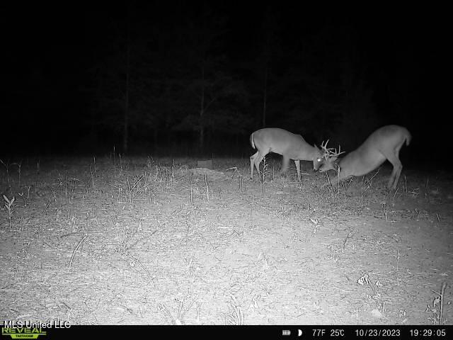 Bennett Road Clarksdale, MS 38614 - Photo 3 of 34 IMG_2695