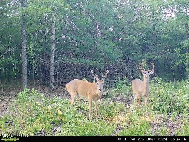 $449,450 | Bennett Road, Clarksdale, MS 38614