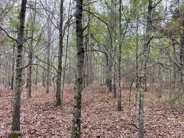 $449,450 | Bennett Road, Clarksdale, MS 38614