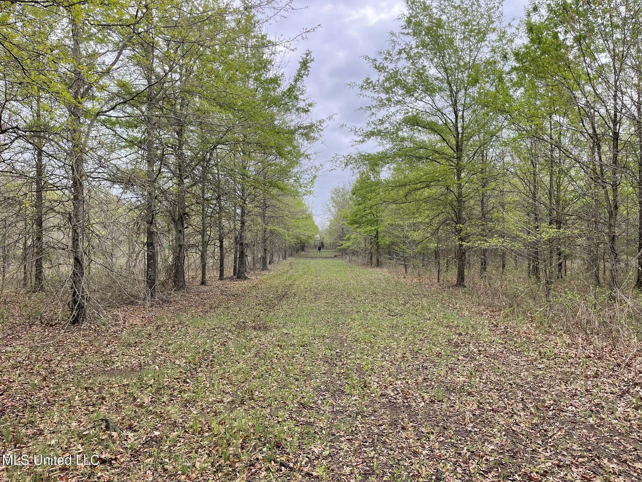 Bennett Road Clarksdale, MS 38614 - Photo 33 of 34 IMG_4641