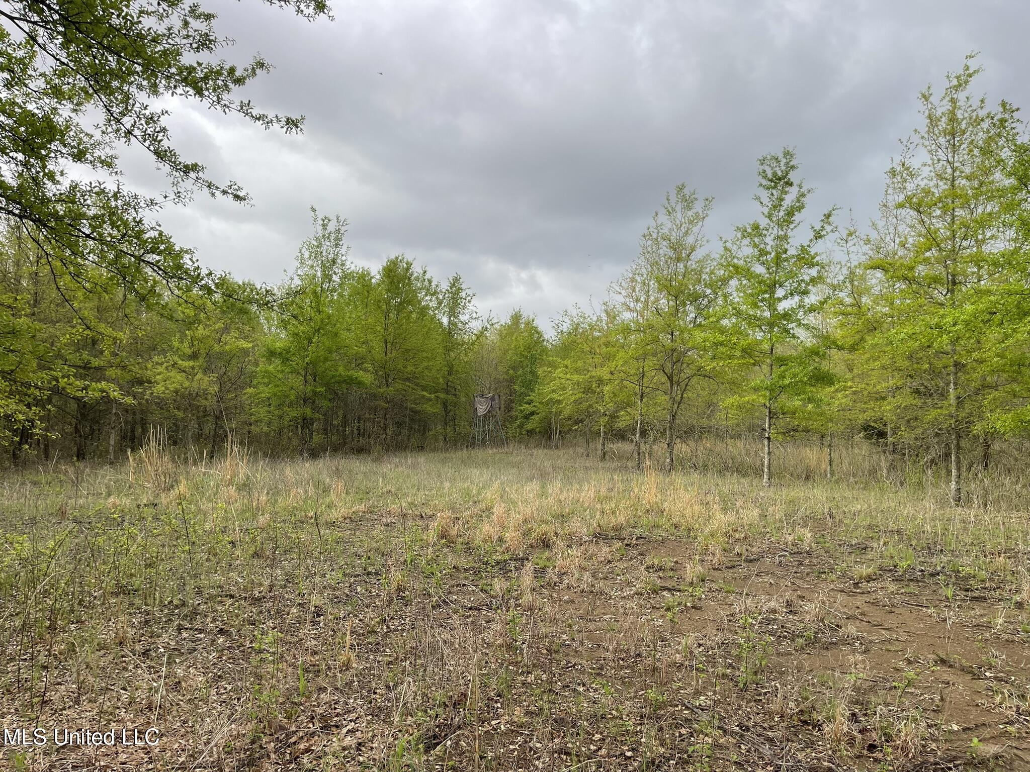 Bennett Road Clarksdale, MS 38614 - Photo 6 of 34 IMG_4633