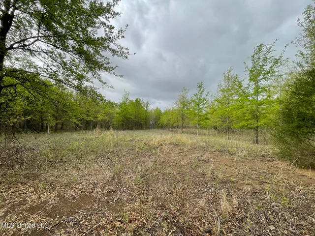 $449,450 | Bennett Road, Clarksdale, MS 38614
