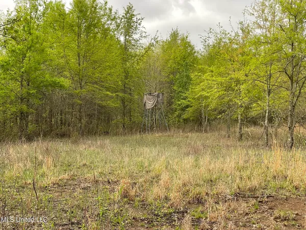 $449,450 | Bennett Road, Clarksdale, MS 38614