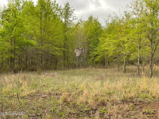 $449,450 | Bennett Road, Clarksdale, MS 38614