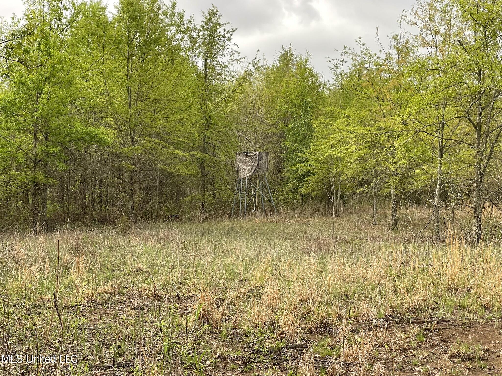 Bennett Road Clarksdale, MS 38614 - Photo 8 of 34 IMG_4634