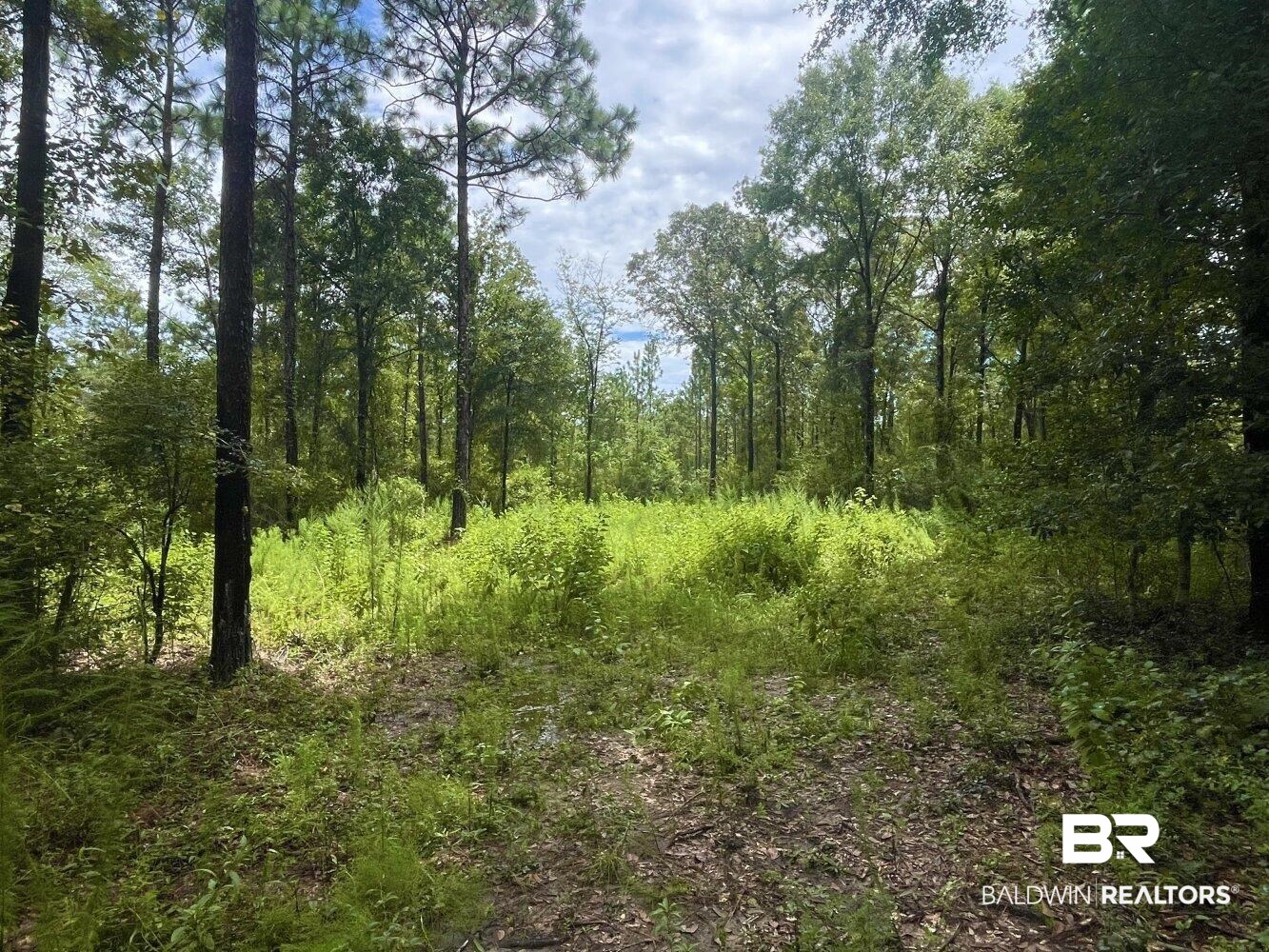 0 Albert Evans Road Wilmer, AL 36587 - Photo 7 of 14