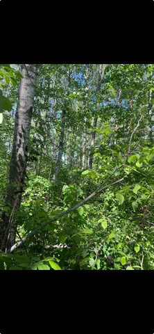 $79,900 | 103 County Road, Barnum, MN 55707