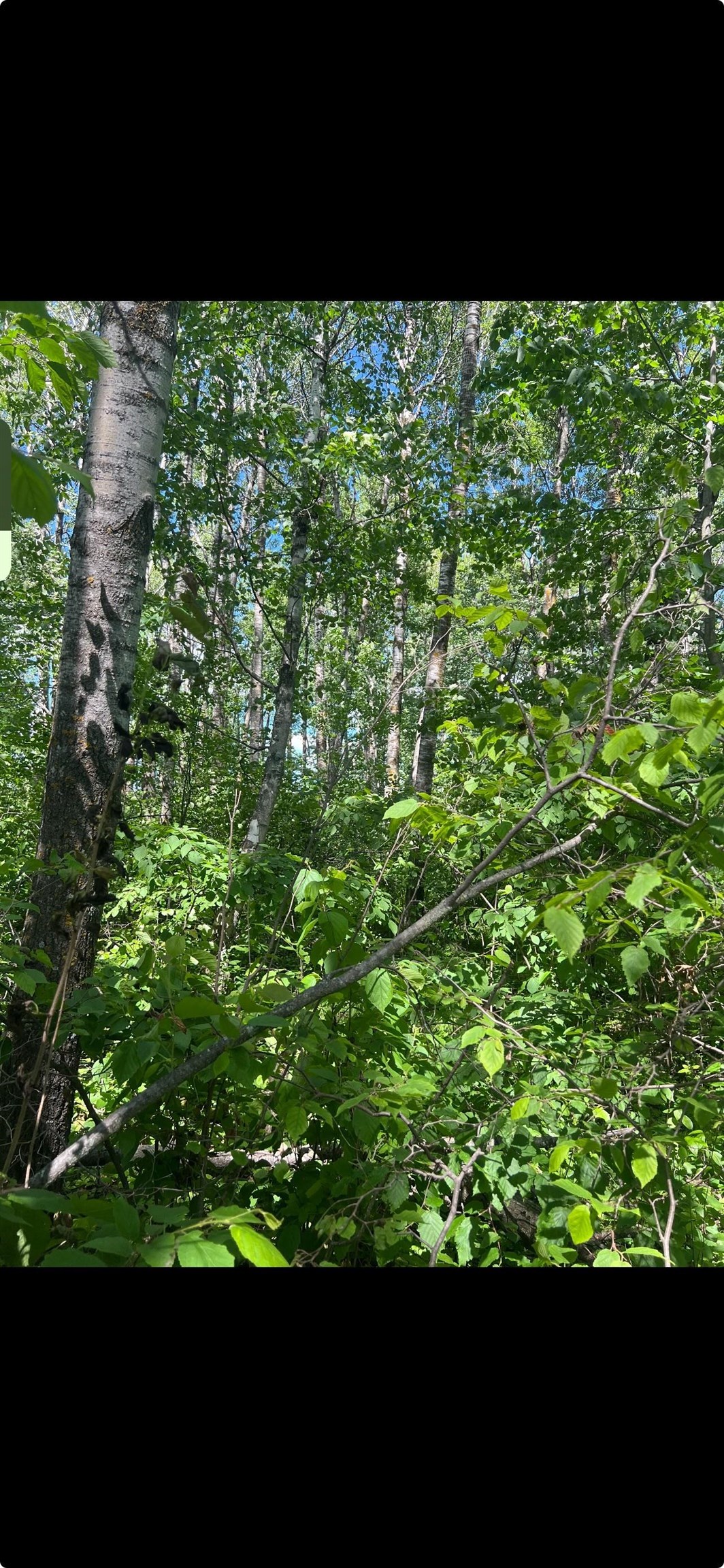 103 County Road Barnum, MN 55707 - Photo 3 of 4