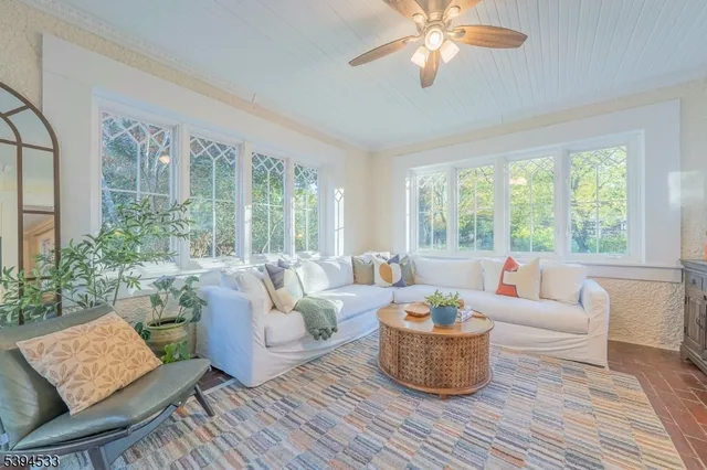 a living room with furniture and a potted plant