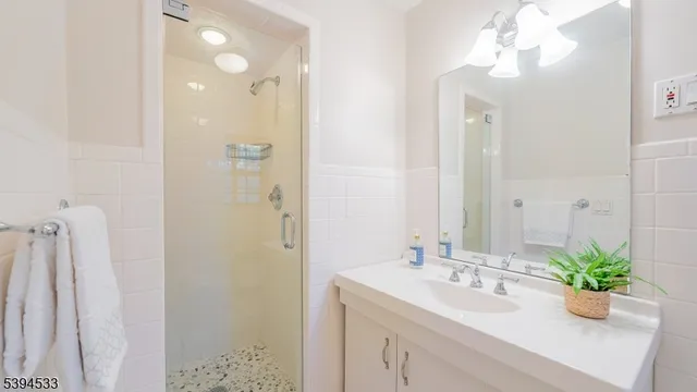 a bathroom with a sink a mirror and a shower