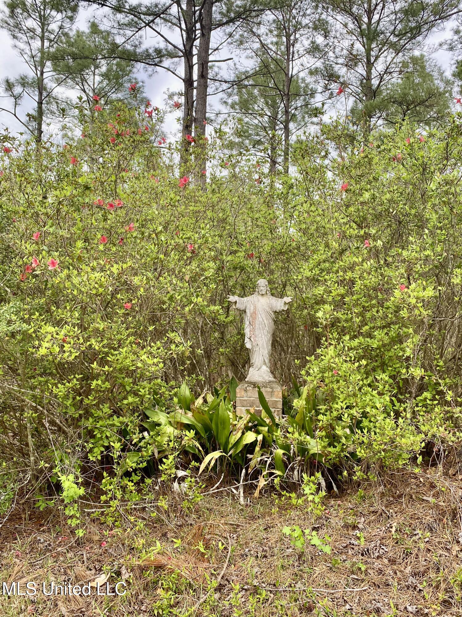 299 Quitman Perry Road Carriere, MS 39426 - Photo 39 of 76 37, Lawn, IMG_2859