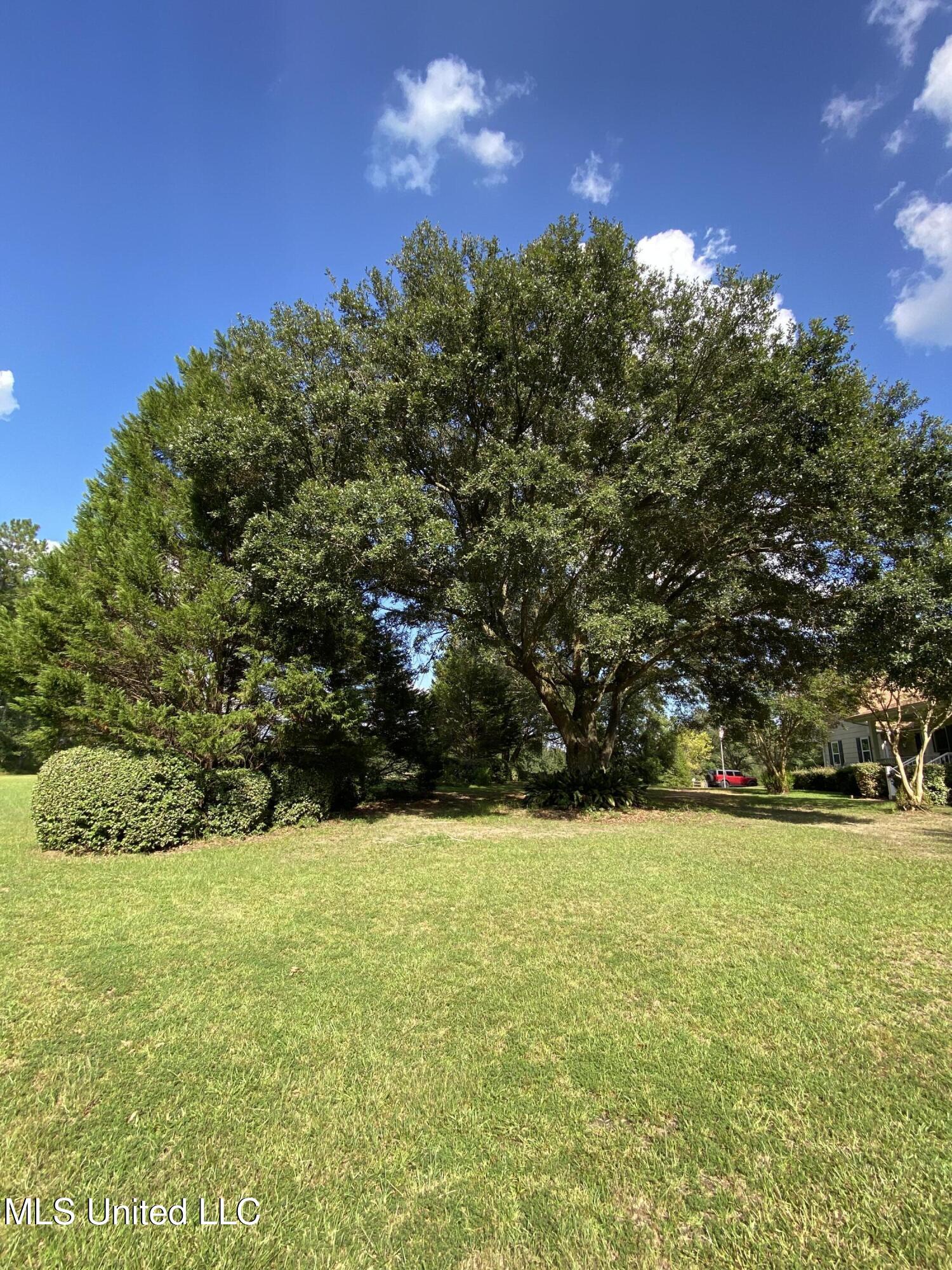 299 Quitman Perry Road Carriere, MS 39426 - Photo 42 of 76 40, Lawn, IMG_5097