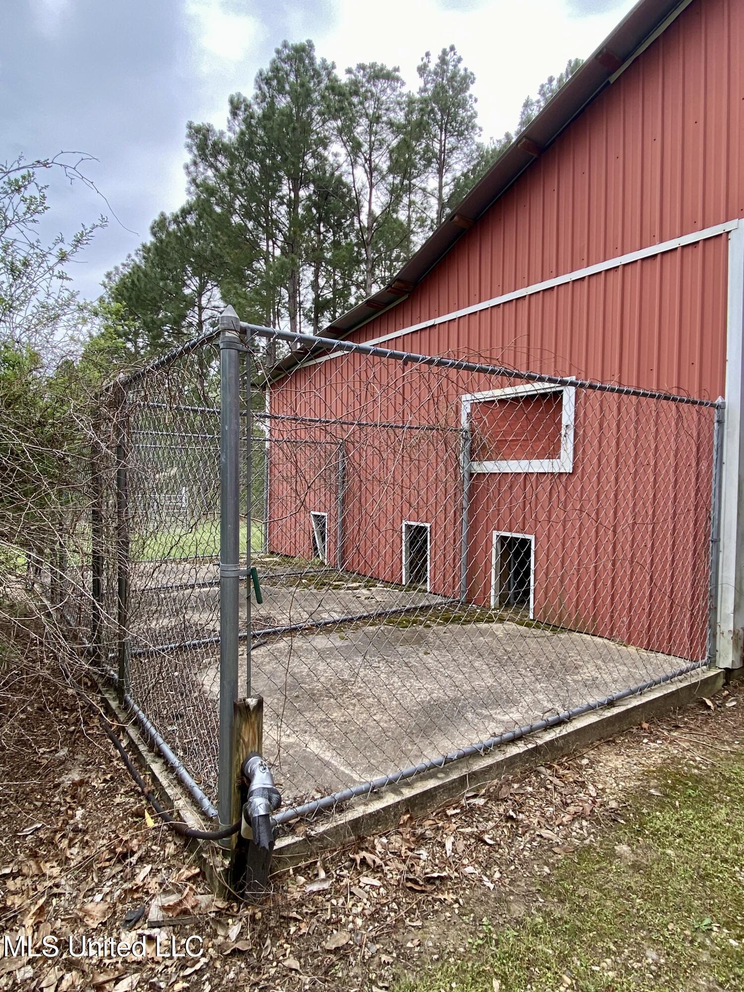 299 Quitman Perry Road Carriere, MS 39426 - Photo 50 of 76 48, Barn, IMG_2831