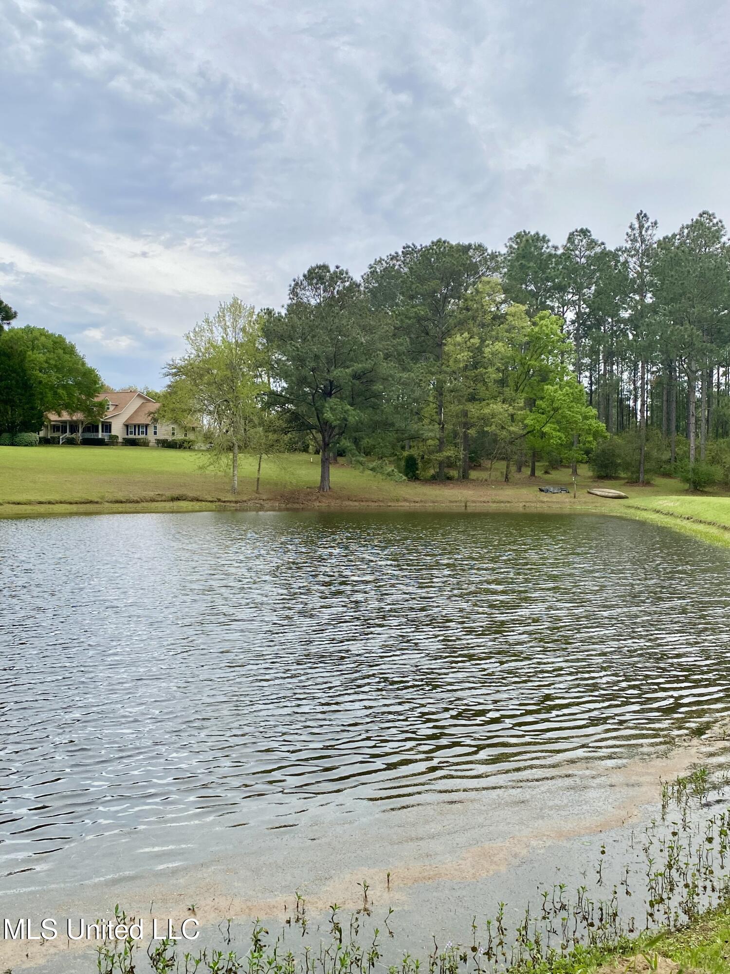 299 Quitman Perry Road Carriere, MS 39426 - Photo 54 of 76 52, Pond, IMG_2857