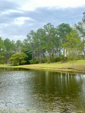 $975,000 | 299 Quitman Perry Road, Carriere, MS 39426