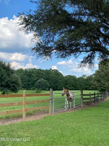 $975,000 | 299 Quitman Perry Road, Carriere, MS 39426