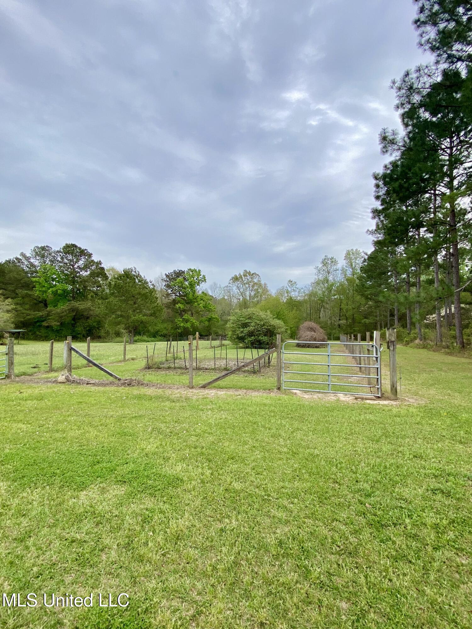 299 Quitman Perry Road Carriere, MS 39426 - Photo 59 of 76 57, Pasture, IMG_2841