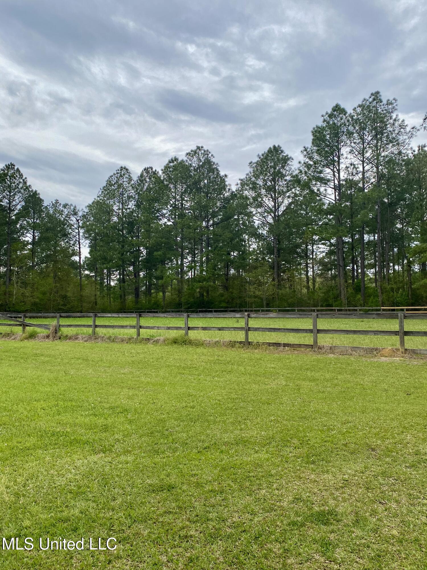 299 Quitman Perry Road Carriere, MS 39426 - Photo 63 of 76 61, Pasture, IMG_2837