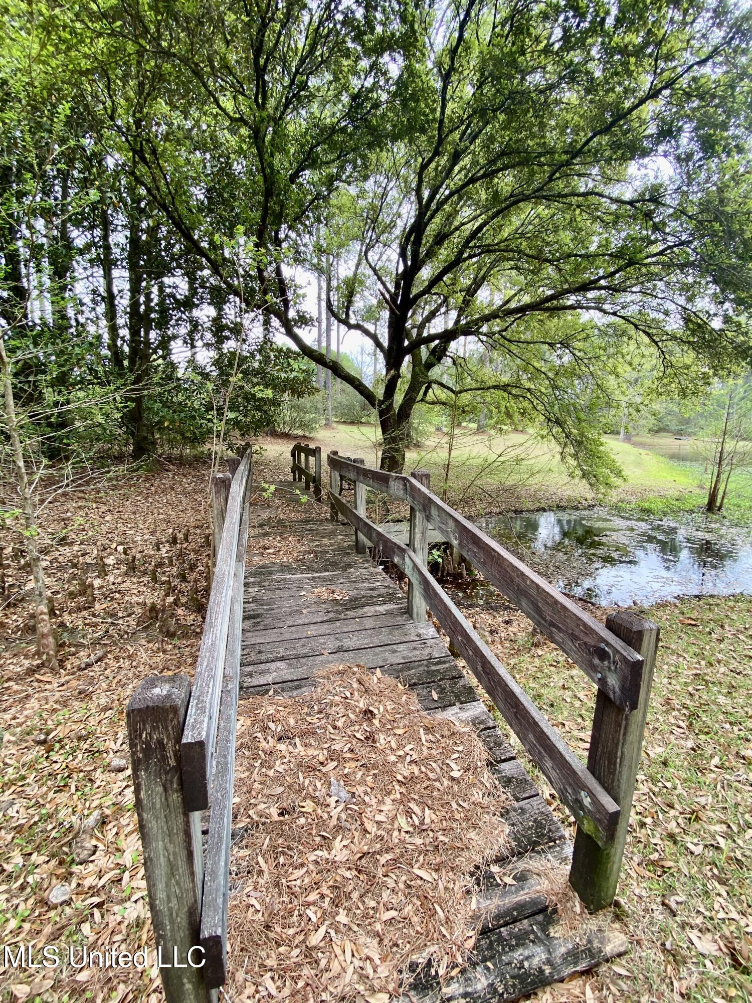 299 Quitman Perry Road Carriere, MS 39426 - Photo 64 of 76 62, Stream, IMG_2860