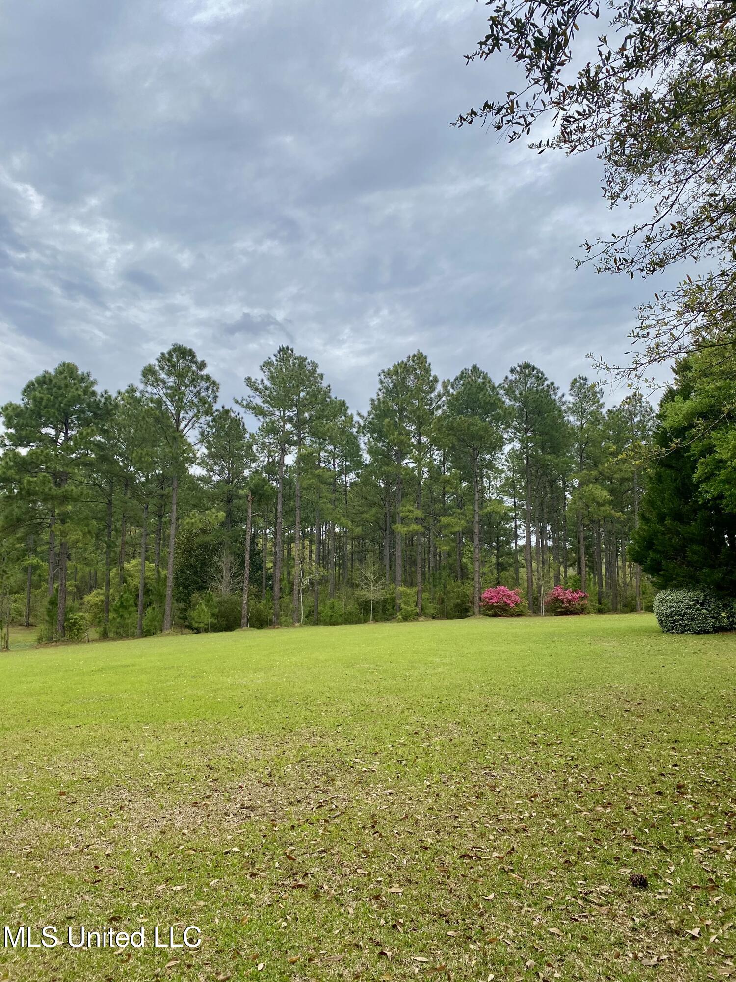299 Quitman Perry Road Carriere, MS 39426 - Photo 65 of 76 63, Land, IMG_2851