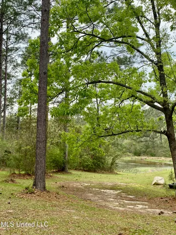 $975,000 | 299 Quitman Perry Road, Carriere, MS 39426