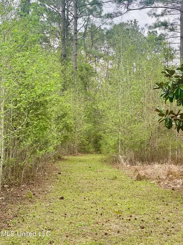 $975,000 | 299 Quitman Perry Road, Carriere, MS 39426