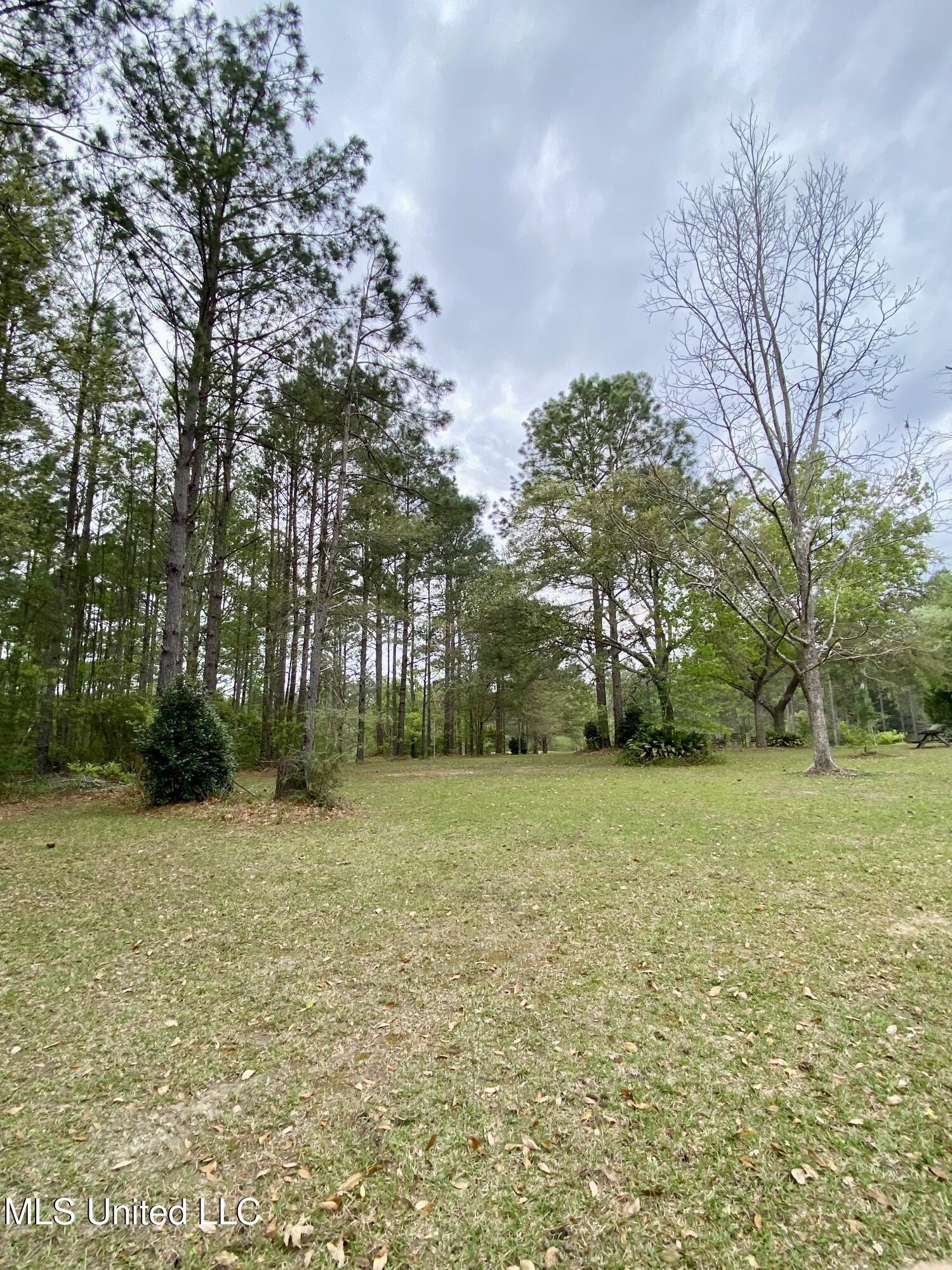 299 Quitman Perry Road Carriere, MS 39426 - Photo 71 of 76 69, Land, IMG_2844
