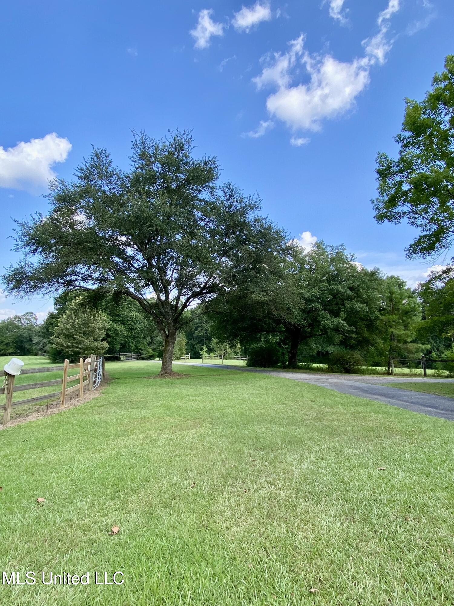299 Quitman Perry Road Carriere, MS 39426 - Photo 73 of 76 71, Land, IMG_5083