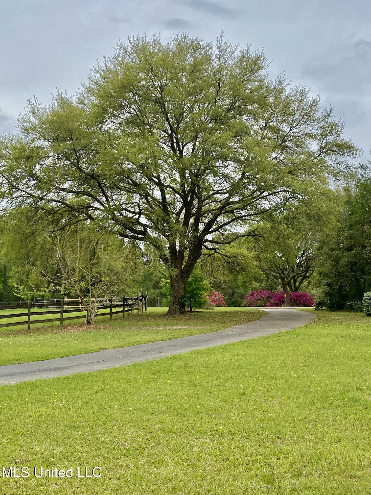 299 Quitman Perry Road Carriere, MS 39426 - Photo 76 of 76 74, Driveway, IMG_2864