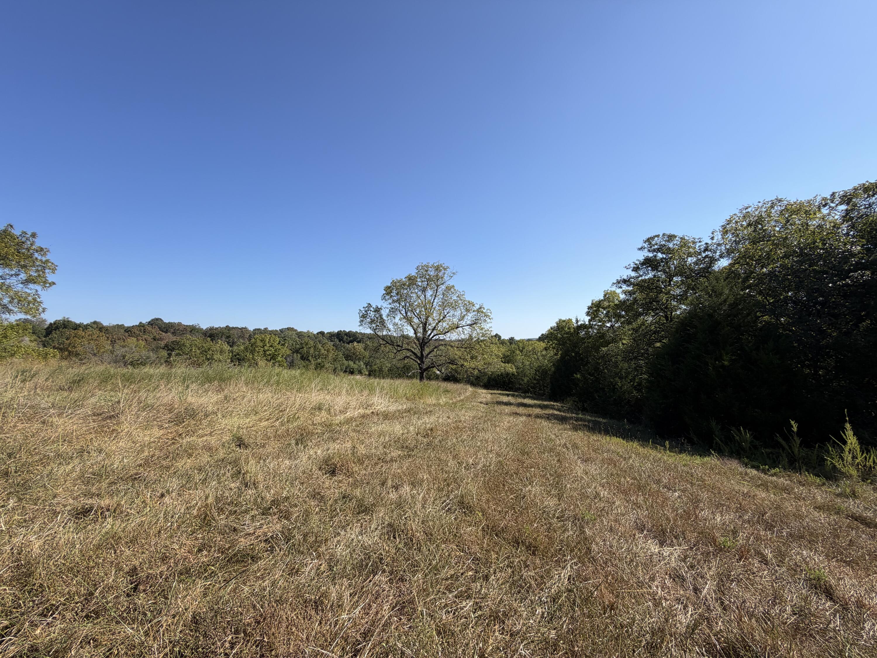 290 Greentown Road Buffalo, MO 65622 - Photo 50 of 69 IMG_2881