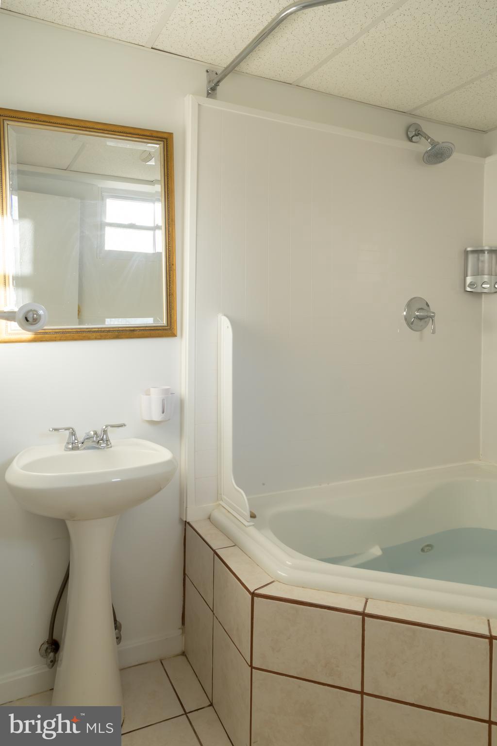 4002 Rouen Road Randallstown, MD 21133 - Photo 29 of 36 Lower level Jacuzzi Tub/Shower