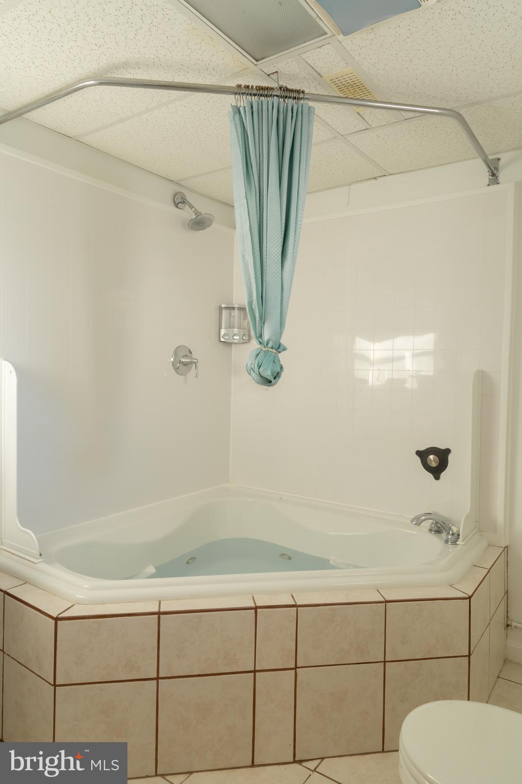 4002 Rouen Road Randallstown, MD 21133 - Photo 30 of 36 Lower level Jacuzzi Tub/Shower