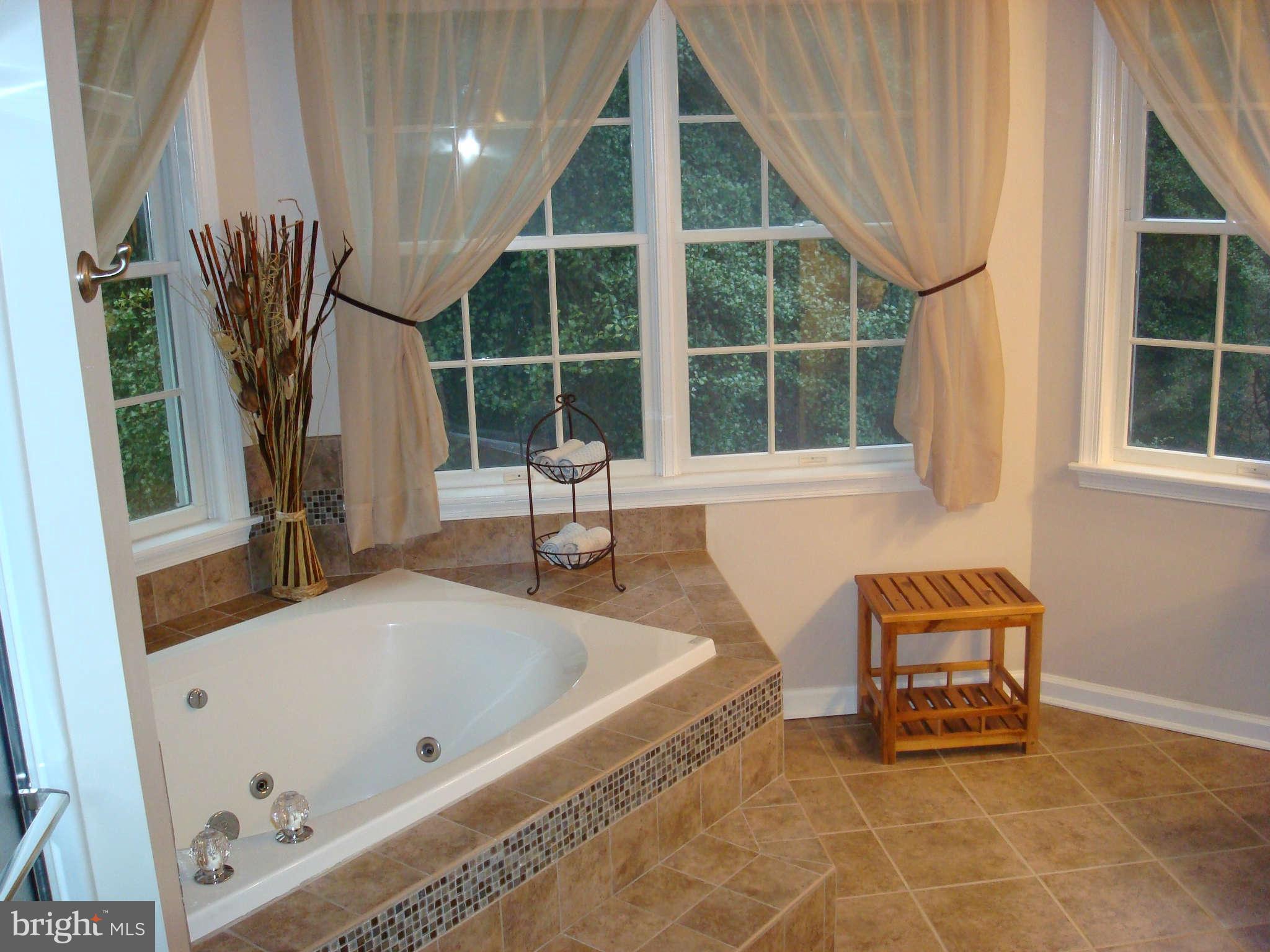 12911 Fork Road Baldwin, MD 21013 - Photo 21 of 30 Bath (Master)