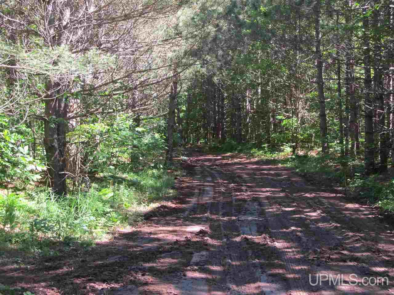 Tbd Lake Head Road Hurley, WI 54534 - Photo 20 of 25