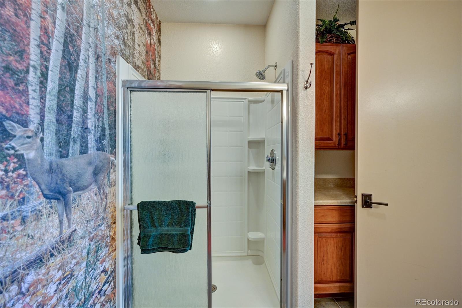1136 Bellows Road Hartsel, CO 80449 - Photo 39 of 49 Gallery Image 39