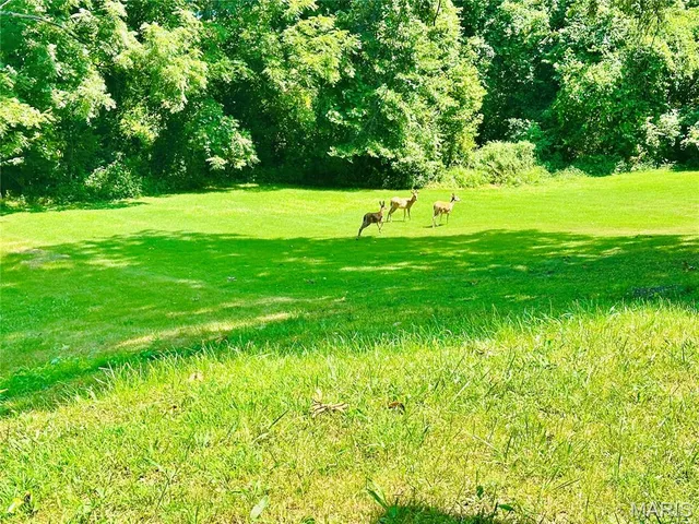 $1,595 | 30 West Marietta Place, Alton, IL 62002