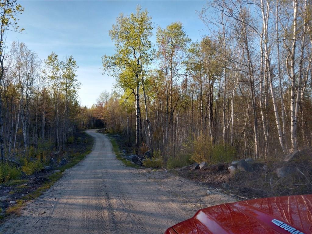 L50 Salmon Road Cherryfield, ME 04622 - Photo 7 of 11 Photo
