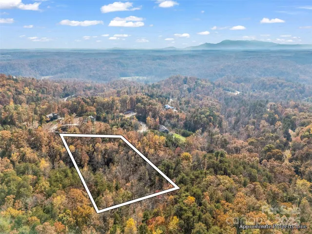 a view of roof and wooden floor