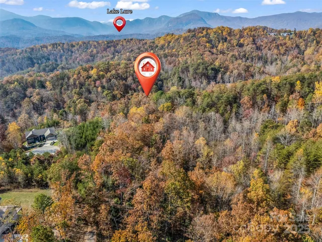 a view of a area with lots of trees