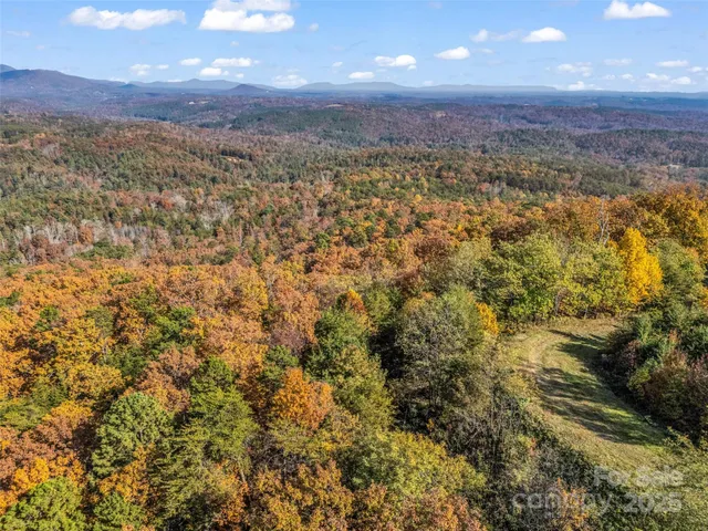 a view of a city with lush green forest