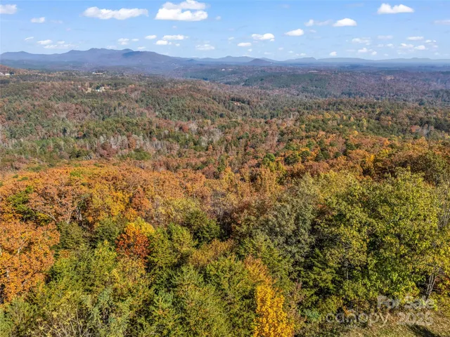 a view of city and mountain