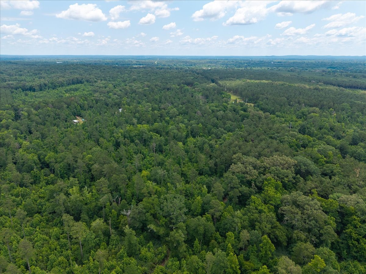 Tbd Williams Road Garrison, TX 75946 - Photo 15 of 18