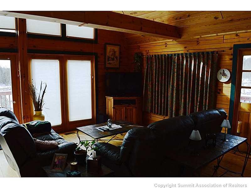 155 Thick Spike Road Fairplay, CO 80440 - Photo 8 of 20 Gallery Image 8