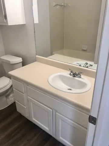 a bathroom with a sink and a toilet