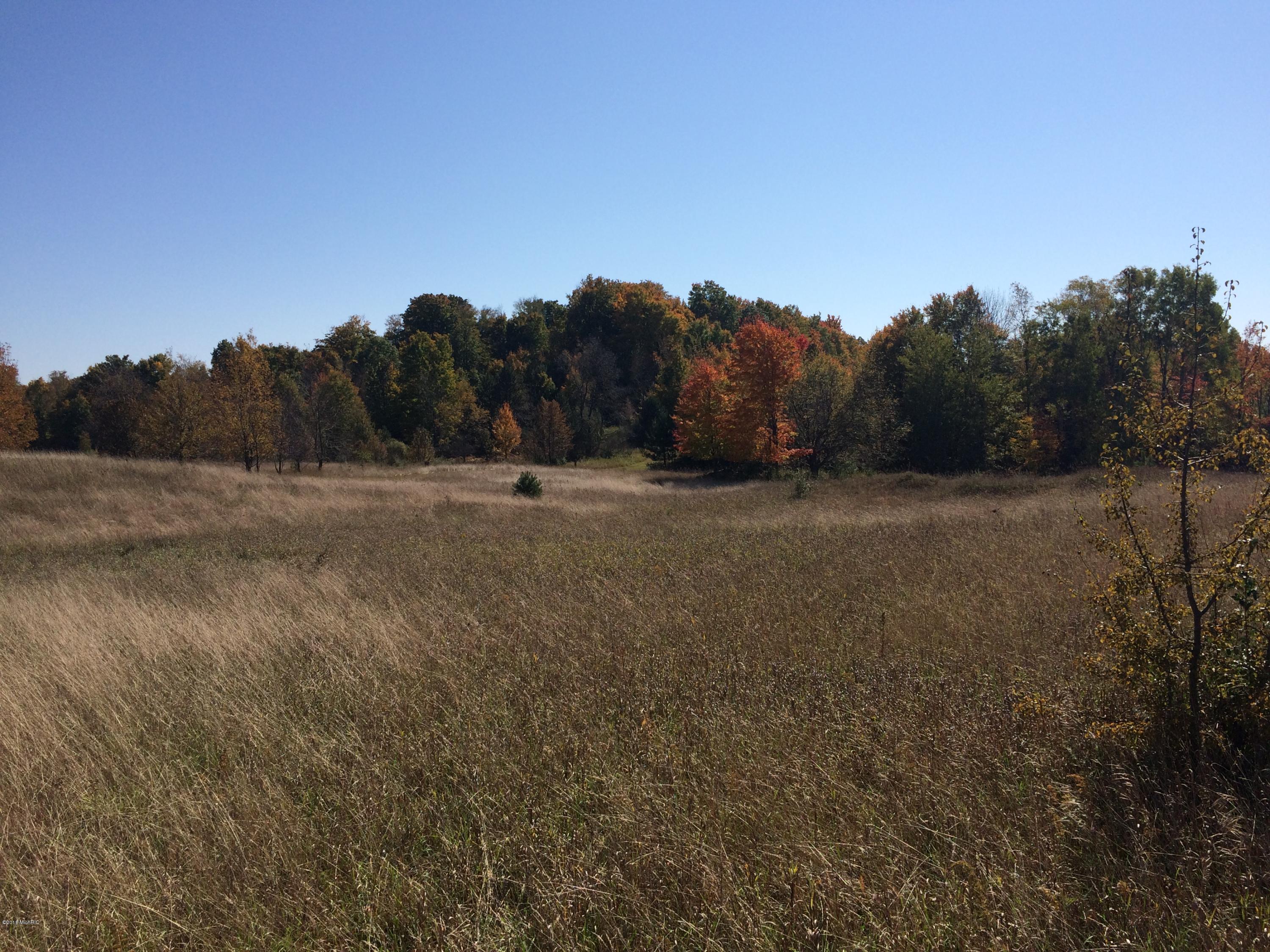 19449 8 Mile Road Reed City, MI 49677 - Photo 11 of 25 IMG_4091
